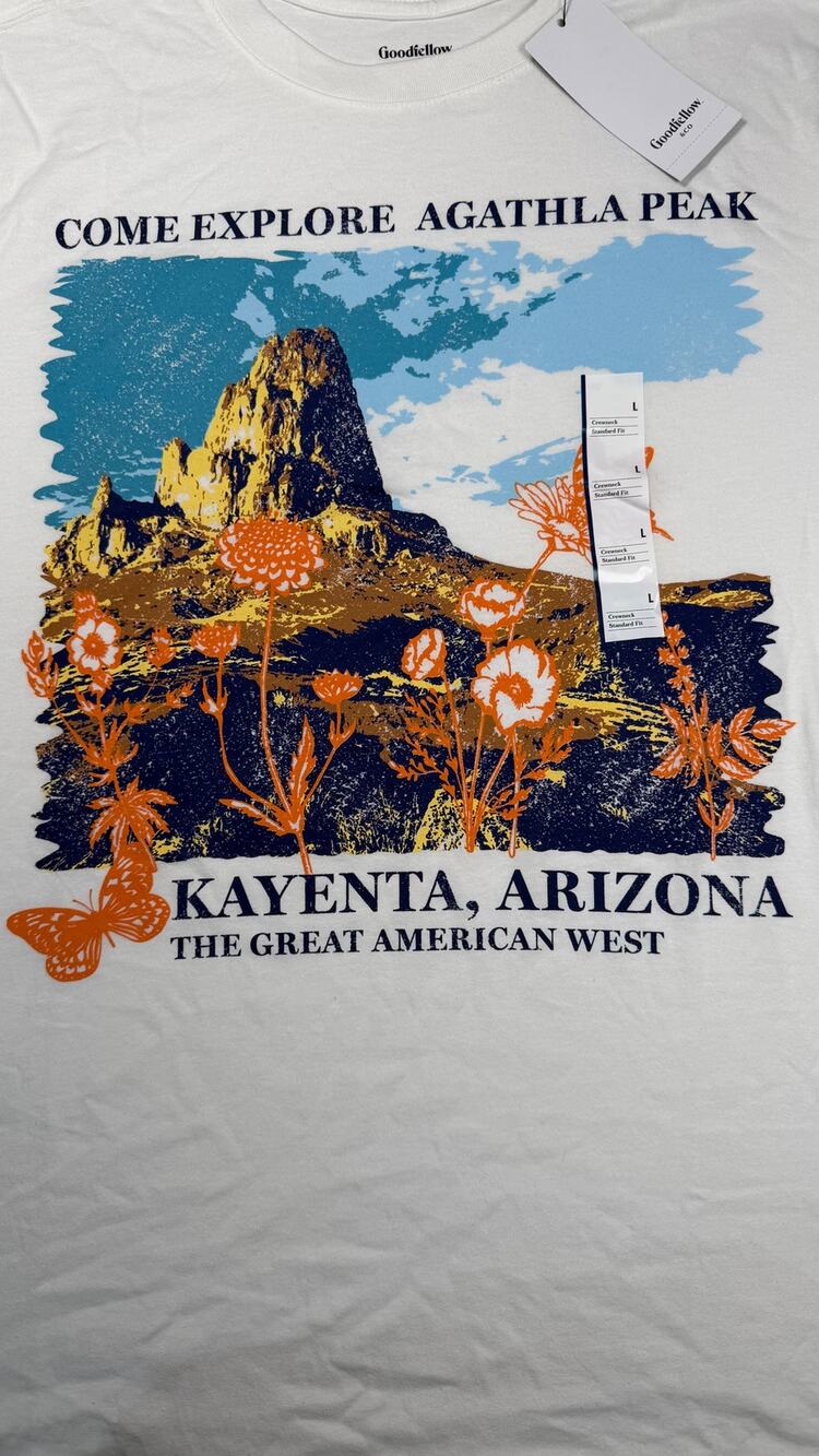 Goodfellow & Co Graphic Tee Men's Large Agathla Peak White Short Sleeve NWT